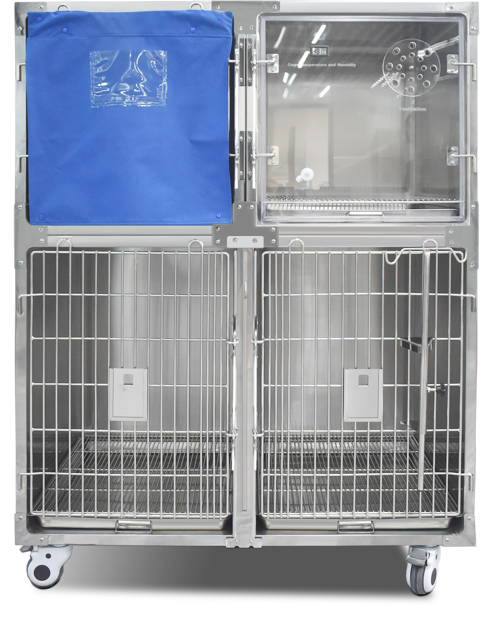 Jaula de terapia de acero inoxidable